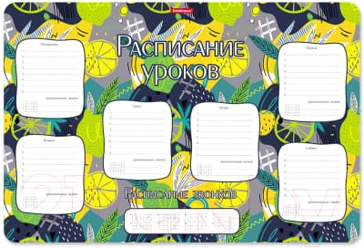 Расписание уроков Erich Krause Lime / 55998