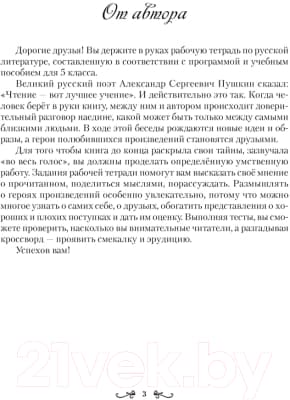 Рабочая тетрадь Аверсэв Русская литература. 5 класс 2
