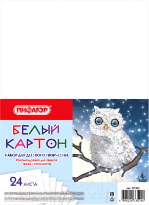 Набор белого картона Пифагор Совушка / 113565