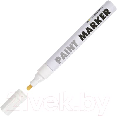 Маркер-краска inФормат Paint Professional KRR04W