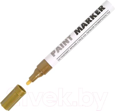 Маркер-краска inФормат Paint Professional KRR04Z