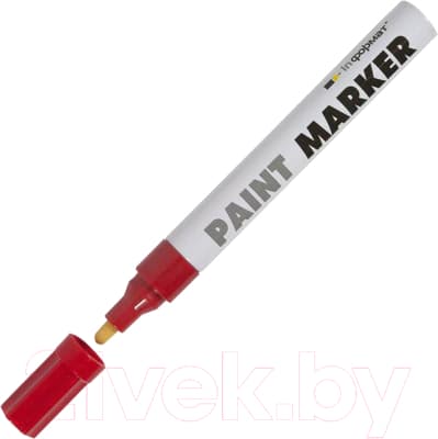 Маркер-краска inФормат Paint Professional RR04R