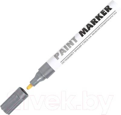 Маркер-краска inФормат Paint Professional KRR04S