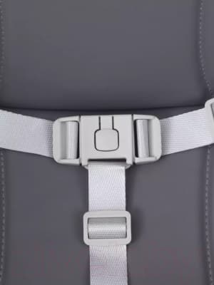 Стульчик для кормления MOWbaby Fusion / RH511 10