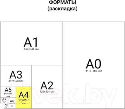 Альбом для рисования Brauberg Цветы / 106327 5