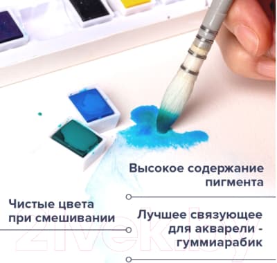 Акварельные краски Brauberg Art Debut / 191779 4