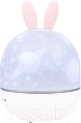 Астропланетарий Levenhuk Discovery Star Sky P1 / LH80337 2