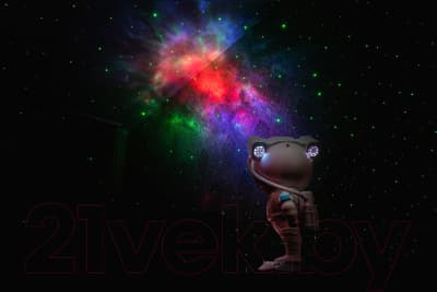 Астропланетарий Levenhuk Discovery Star Sky P9 / LH80340 7