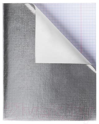 Тетрадь Hatber Metallic 96Т5бвВ1 2