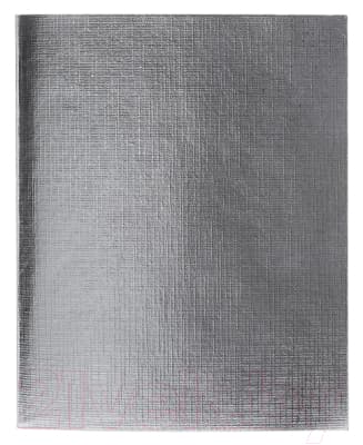 Тетрадь Hatber Metallic 96Т5бвВ1