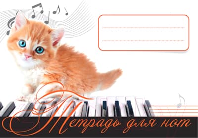 Тетрадь нотная Питер Рыжий котенок / 9785001161677