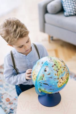 Глобус Globen Зоогеографический Классик Евро с подсветкой / Ке012500270 5
