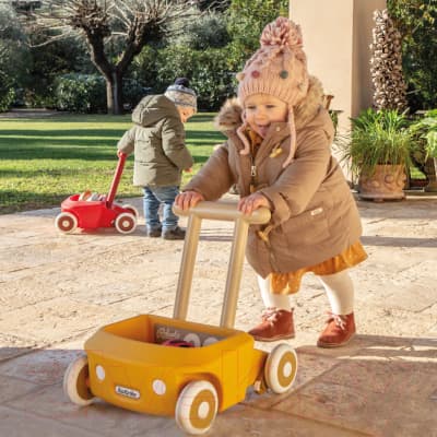Ходунки-каталка Italtrike Роберто / 4020ROB996834 3