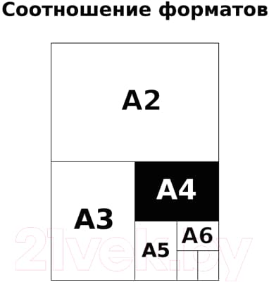 Альбом для рисования BG Dinosaur / АР4ск40 10933 9