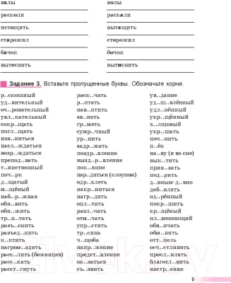 Рабочая тетрадь Попурри Русский язык: тренажер по орфографии. 8-11 классы 5