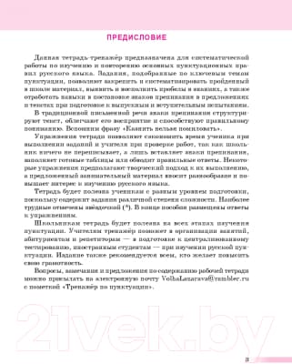 Рабочая тетрадь Попурри Русский язык: тренажер по пунктуации. 8-11 классы 3