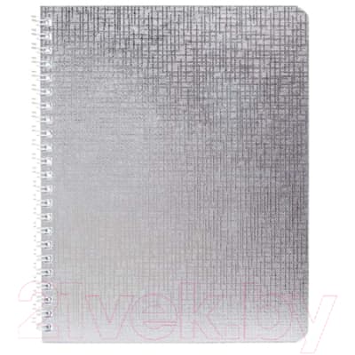 Тетрадь Hatber Metallic / 96Т5бвВ1гр/бвСеребро