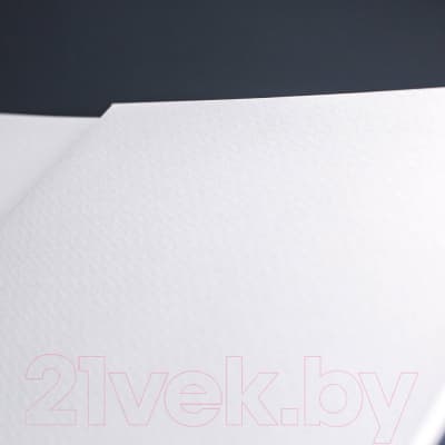 Планшет для акварели Малевичъ White Swan / 402110 3