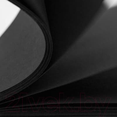 Набор бумаги для рисования Малевичъ GrafArt Black / 402310
