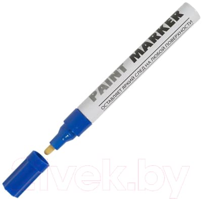 Маркер-краска inФормат Paint Professional / KRR04Bl
