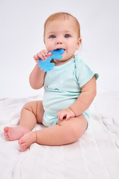 Набор прорезывателей для зубов Baby Toys Котик и Петушок / 02409 4
