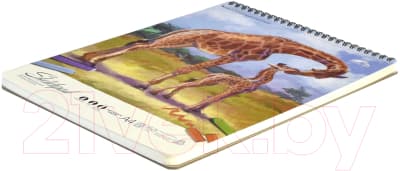 Альбом для рисования Феникс+ Жирафы / 59482 2