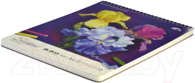 Альбом для рисования Феникс+ Ирисы / 59483 2
