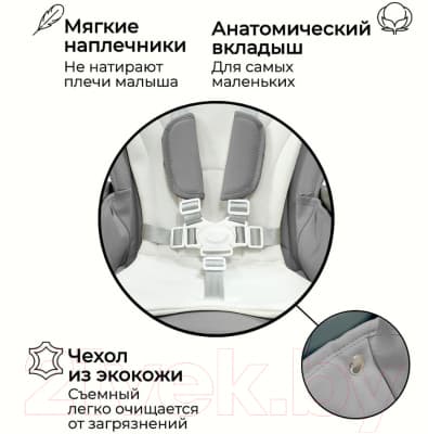 Стульчик для кормления Bubago Amelia / BG 103-2 5