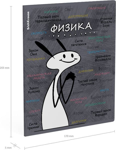 Тетрадь предметная Erich Krause Чубрик. Физика / 59472 4