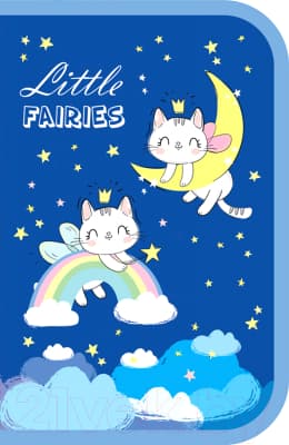 Пенал ArtSpace Fairies / ПТ1_49675