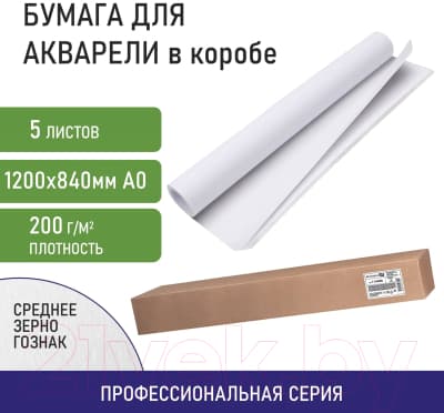 Набор бумаги для рисования Brauberg Art Classic / 114487 3