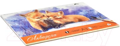 Альбом для рисования Fenix Art Art Лисички / 59484 2