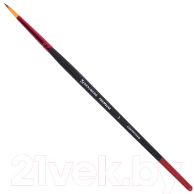 Набор кистей Brauberg Premium / 201027 4