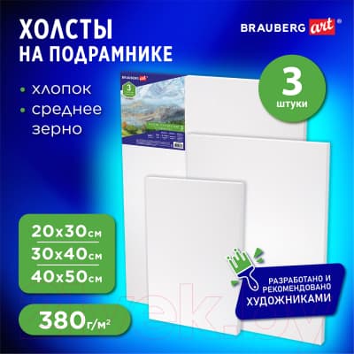 Набор холстов для рисования Brauberg Art Classic / 191655 9