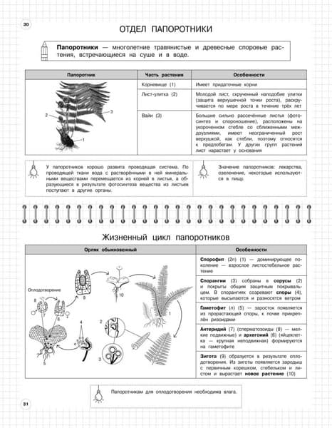 Учебное пособие Эксмо Биология: 5-11 классы, мягкая обложка 3