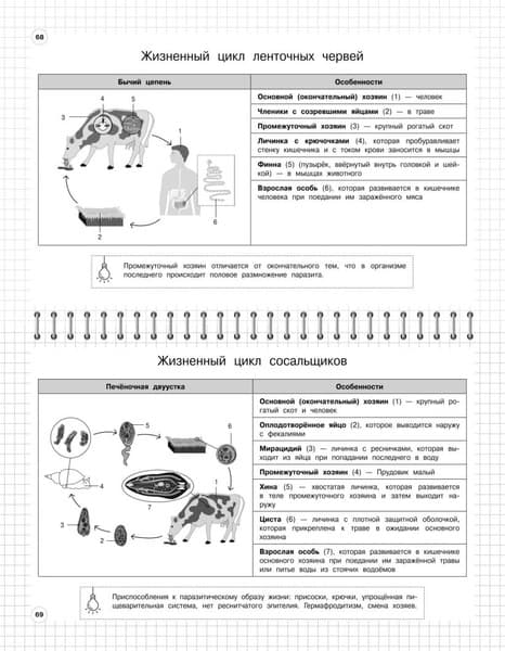 Учебное пособие Эксмо Биология: 5-11 классы, мягкая обложка 2