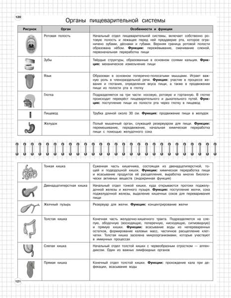 Учебное пособие Эксмо Биология: 5-11 классы, мягкая обложка 4