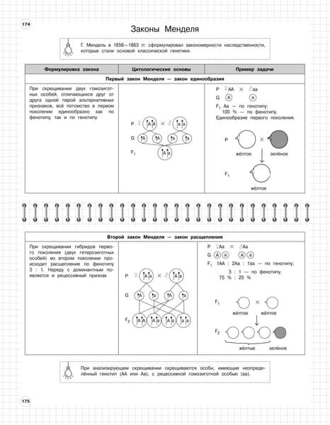 Учебное пособие Эксмо Биология: 5-11 классы, мягкая обложка 5