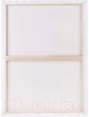 Холст для рисования ГАММА Студия 60x80см / 301020209 2