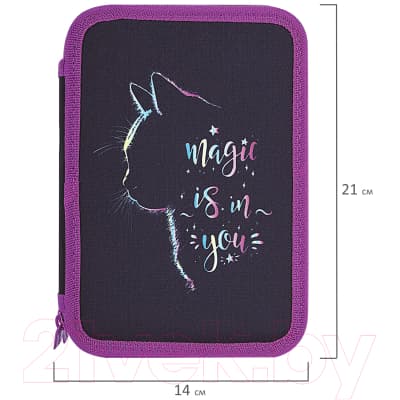 Пенал Brauberg Magic Cat / 271542 7