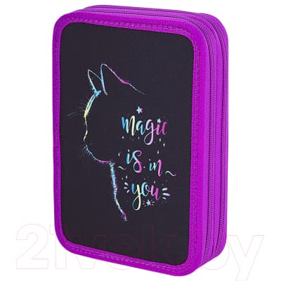Пенал Brauberg Magic Cat / 271542 3