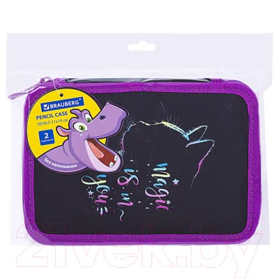 Пенал Brauberg Magic Cat / 271542 6
