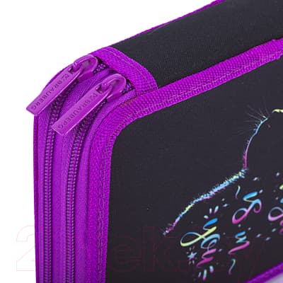 Пенал Brauberg Magic Cat / 271542 4