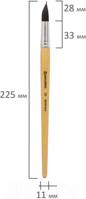 Кисть для рисования Brauberg Белка №10 / 200187 6