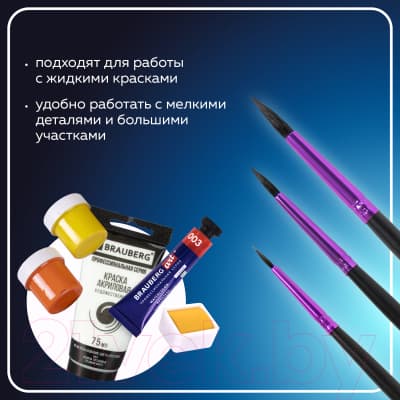 Набор кистей Brauberg Premium / 201020 8