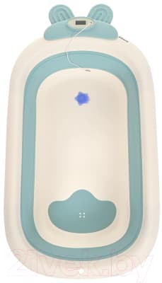 Ванночка детская Pituso FG1123 5