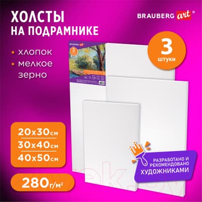 Набор холстов для рисования Brauberg Art Debut / 191649 10