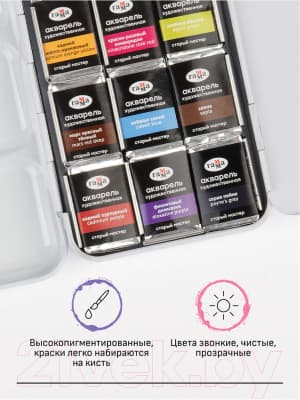 Акварельные краски ГАММА Старый Мастер. Пленэр / 200622_5112 4