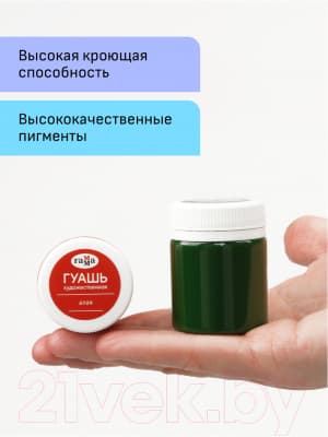 Гуашь ГАММА Модерн / 221004 8