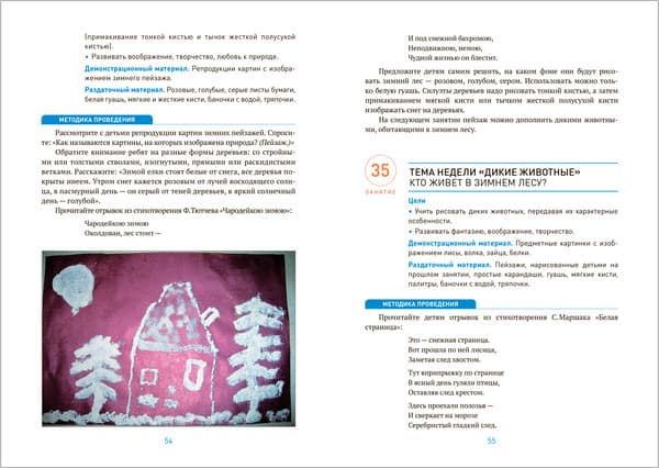 План-конспект уроков Мозаика-Синтез Рисование в детском саду. С детьми 5-6 лет / МС13840 4